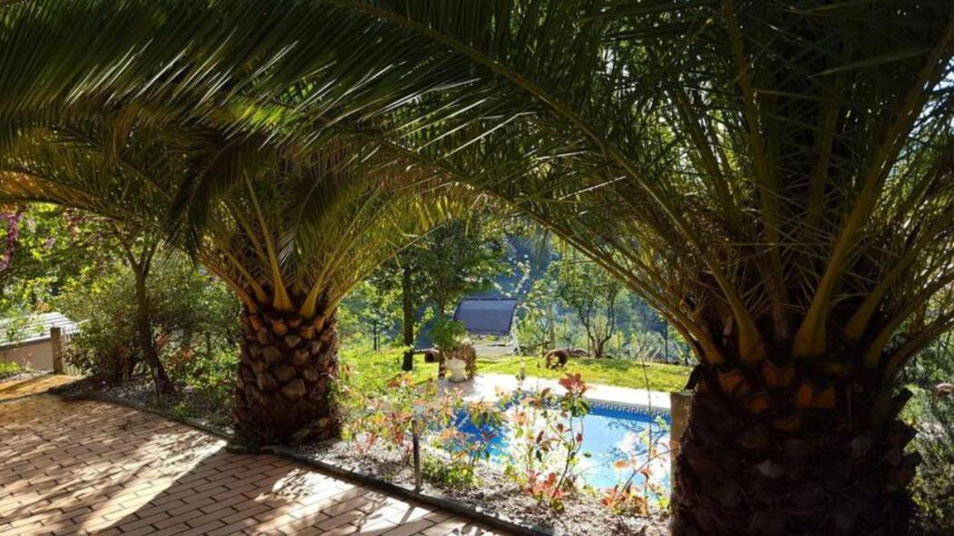 Casa Loureiro - Vista Rio Douro Villa เรเซนด์ ภายนอก รูปภาพ